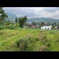 Tanah Udara Dingin 1000m Kemuning, Karanganyar 