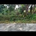 Tanah Kawasan Wisata Tawangmangu 1150m 600Jt 