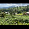 Dijual Tanah Udara Dingin Siap Bangun Villa/ Resto Kemuning Solo