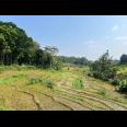 Tanah Subur 4000m² Udara Dingin Karangpandan 