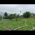 Tanah Kawasan Wisata Tawangmangu 2000m View Cantik 