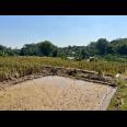 Dijual Tanah Sawah 700m 175Jt Kerjo Karanganyar 