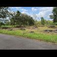  Tanah Zona Kuning 3000m² Siap Bangun Gudang Karanganyar Solo 