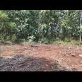  Tanah Murah 1198m² Hanya 100 Juta Karanganyar 