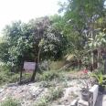 Tanah Murah di Perumahan Griya Arta Puri Tabanan Bali