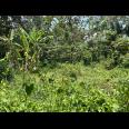  Dijual Tanah 2900m² Lingkungan Asri Karanganyar 