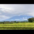Tanah Sawah 3592m² View Gunung Kerjo Karanganyar 