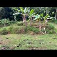 Tanah View Sawah Kawasan Wisata Karanganyar