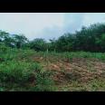 Tanah Dijual Cocok untuk Investasi Karangpandan