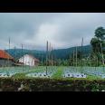 Jual Villa Area Kebun Teh Kemuning