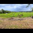 Dijual Rumah Asri View Sawah Karanganyar