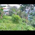 Tanah 3780m2 View Cantik Kemuning, Karanganyar 