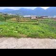 Tanah Idaman Cocok Untuk Villa Wisata Tawangmangu