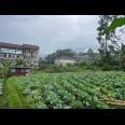 Tanah 300m² Kawasan Wisata Strategis Tawangmangu 