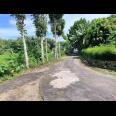 Tanah Datar View Hamparan Sawah Kedawung, Sragen 