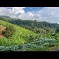 Tanah Kawasan Wisata Tawangmangu 1150m 600Jt 