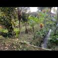 Tanah 220 Juta Cocok Untuk Villa Tawangmangu 