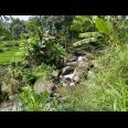 Tanah Istimewa Dekat Sungai 750m Utara Candi Cetho 
