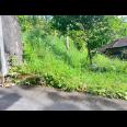 Tanah 225 Juta Udara Dingin Ngargoyoso 