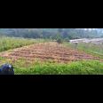 Tanah 1000m² Udara Dingin Kawasan Wisata Ngargoyoso 