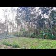 Tanah 175 Juta Lingkungan Wisata Kampung Karet Ngargoyoso 