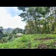 Tanah 800m² Cocok Untuk Kebun Buah Ngargoyoso 