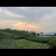 Tanah 480m² View Tanpa Halang Cocok Untuk Villa Kemuning 