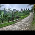 Tanah 1300m² Dekat Sungai Wisata River Tubing Ngargoyoso 