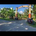 Tanah 1302m² Strategis Untuk Kavling Karanganyar 
