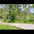 Tanah Murah 9803m 200rb/m Utara Candi Cetho Karanganyar 