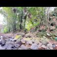 Tanah 2 Hektar Dekat Aliran Sungai Karanganyar 