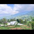 Tanah Cantik 7000m Utara Candi Cetho Karanganyar, Solo 