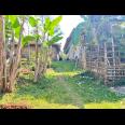 Kebun Durian 1000m² Bonus Bangunan Karanganyar 