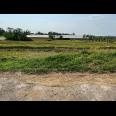 Tanah Sawah 3400m View Gunung Lawu Matesih 