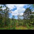  Tanah 750m² Cocok Untuk Villa Ngargoyoso Karanganyar 