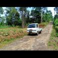 Tanah Kebun Durian & Sumber Mata Air Mojogedang Karanganyar