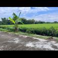 Dijual Tanah 1320m² Karangmalang Sragen