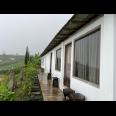 Villa Limasan Cocok untuk Cafe & Penginapan Kemuning 