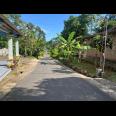 Tanah 1700m² Bonus Rumah Limasan Mojogedang  