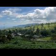 Dijual Tanah Udara Dingin Siap Bangun Villa/ Resto Kemuning Solo