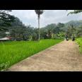 Tanah Istimewa Dekat Sungai 750m Utara Candi Cetho 