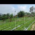 Tanah Kawasan Wisata Tawangmangu 2000m View Cantik 