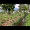 Tanah 2038m² Strategis Untuk Villa Wisata Karanganyar 