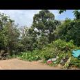  Dijual Tanah 2900m² Lingkungan Asri Karanganyar 