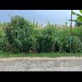 Tanah 3550m² Cocok Untuk Kebun Buah Karanganyar 