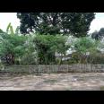 Tanah 439m² Kawasan Wisata Kemuning Cocok Untuk Villa 