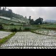 Tanah 480m² View Tanpa Halang Cocok Untuk Villa Kemuning 