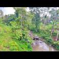 Tanah 1690m² Dekat Aliran Sungai Ngargoyoso  