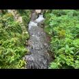 Tanah 1300m² Dekat Sungai Wisata River Tubing Ngargoyoso 