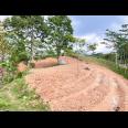 Tanah 8000m² Cocok Untuk Kebun Buah Karanganyar 